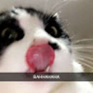 Meet your Posher, Awesome